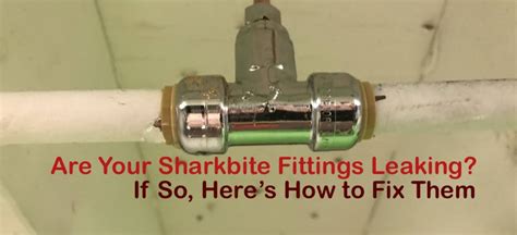 shark bite leaking|How to stop a SharkBite from leaking [Why is SharkBite